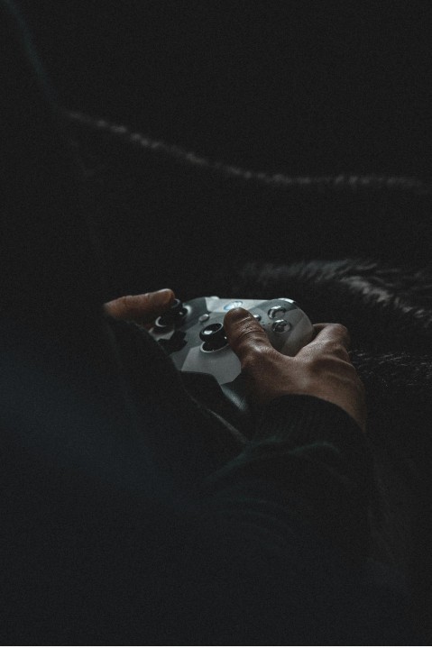 Project screenshot 2